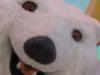 polarbehr\'s Avatar