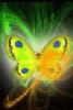 TerriM\'s Avatar